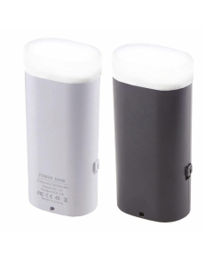 Torch Power Bank 2000