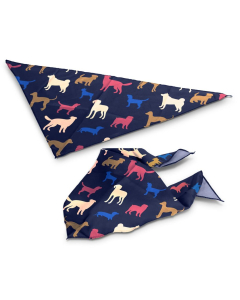 Pet Bandana - Medium