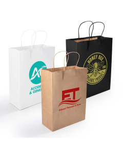 Express Paper Bag Medium