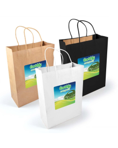 Express Paper Bag Large