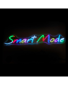 Multi-program Neon LED Sign