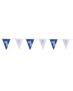 Custom PVC Pennant String Flags