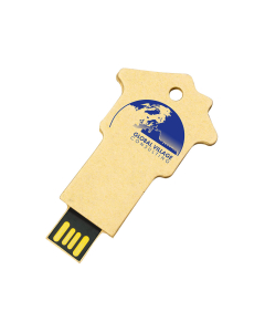 HDP USB House Drive